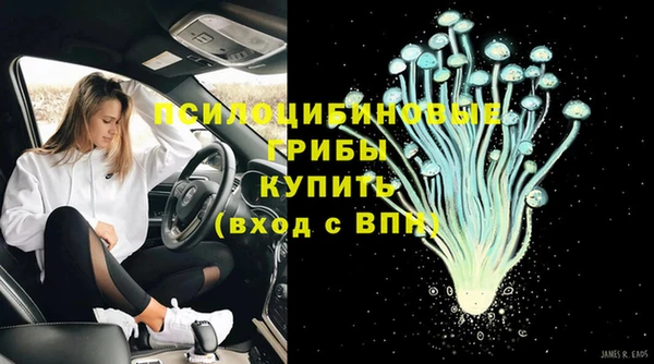 ешки Михайловск