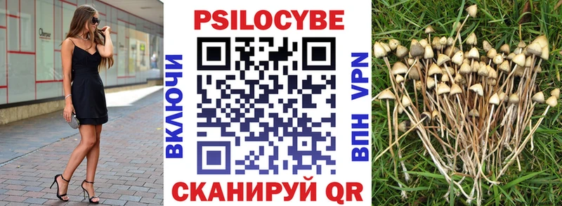 Псилоцибиновые грибы Psilocybine cubensis  Купить  Канаш 